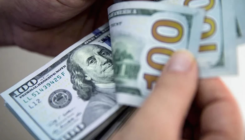 Precio del dólar bordearía los $860, impulsado por la inflación, la variante Ómicron y las elecciones presidenciales